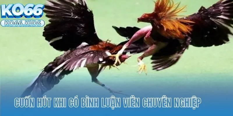 Cuốn hút khi có bình luận viên chuyên nghiệp